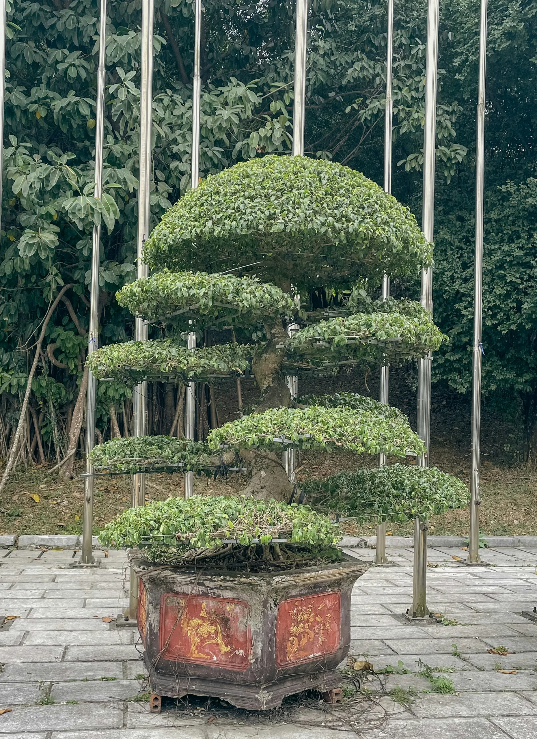 Jardín formal con eje de simetría y setos recortados