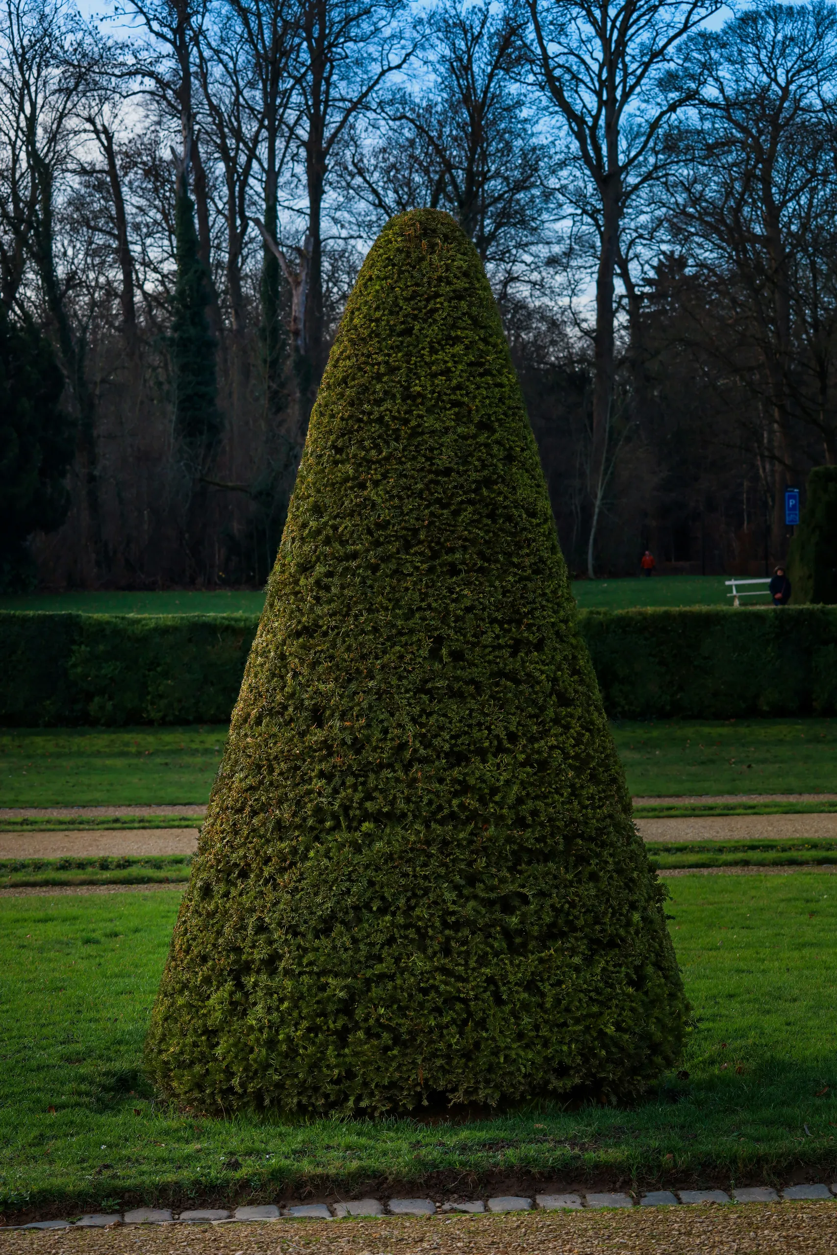 Topiario ornamental