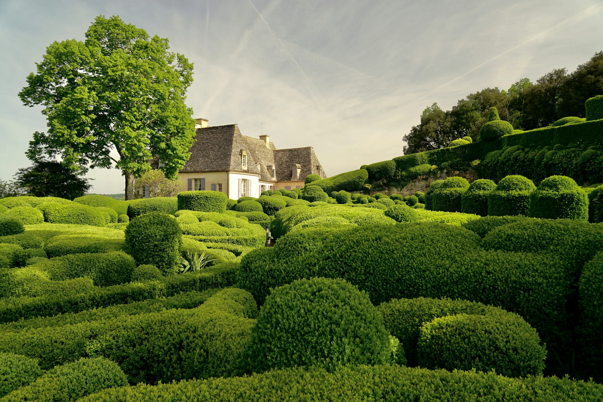 Jardín francés